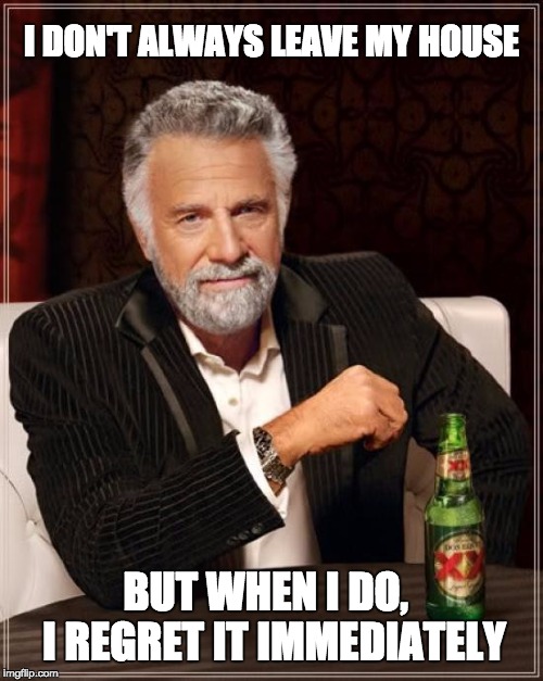 The Most Introverted Man In The World
 | I DON'T ALWAYS LEAVE MY HOUSE BUT WHEN I DO,       I REGRET IT IMMEDIATELY | image tagged in memes,the most interesting man in the world | made w/ Imgflip meme maker
