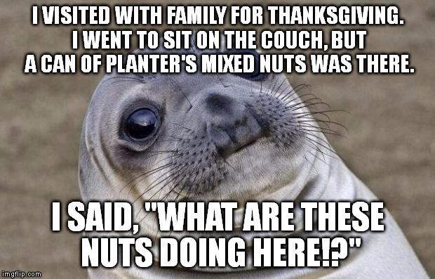 I forgot to submit this around Thanksgiving. :P | I VISITED WITH FAMILY FOR THANKSGIVING. I WENT TO SIT ON THE COUCH, BUT A CAN OF PLANTER'S MIXED NUTS WAS THERE. I SAID, "WHAT ARE THESE NUT | image tagged in memes,awkward moment sealion | made w/ Imgflip meme maker