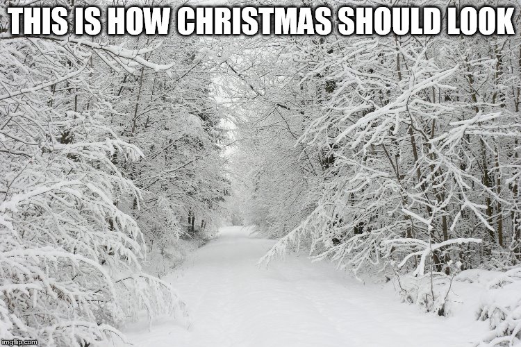 Snowy forest | THIS IS HOW CHRISTMAS SHOULD LOOK | image tagged in snowy forest | made w/ Imgflip meme maker