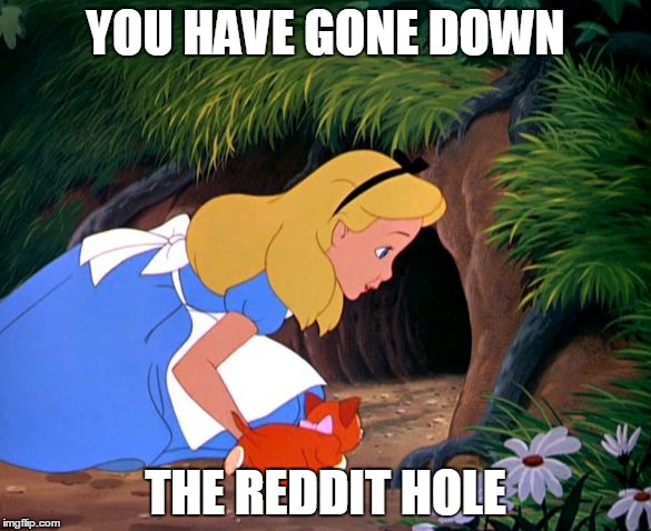 Alice Looking Down the Rabbit Hole | YOU HAVE GONE DOWN THE REDDIT HOLE | image tagged in alice looking down the rabbit hole | made w/ Imgflip meme maker