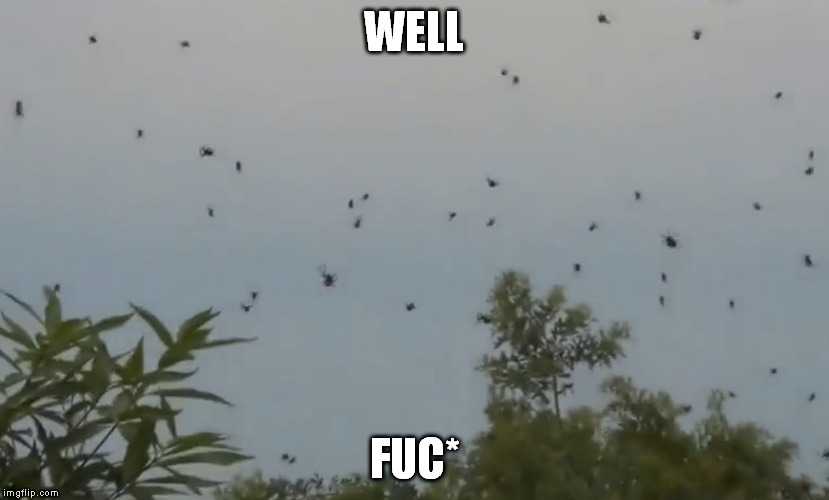 In case you didn't know, some spiders use their webs as sails and can even fly in flocks. | WELL FUC* | image tagged in memes,spiders | made w/ Imgflip meme maker