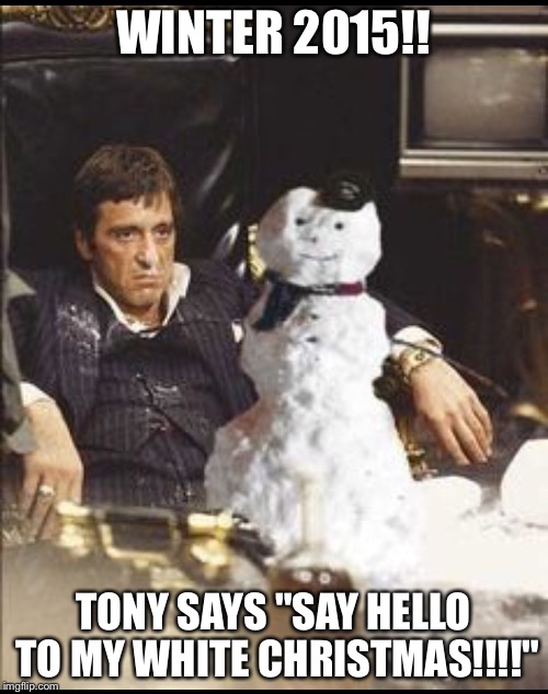 WINTER 2015!! TONY SAYS "SAY HELLO TO MY WHITE CHRISTMAS!!!!" | image tagged in tony,winter,snowman | made w/ Imgflip meme maker