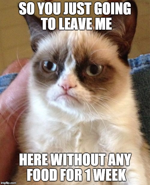 Grumpy Cat | SO YOU JUST GOING TO LEAVE ME HERE WITHOUT ANY FOOD FOR 1 WEEK | image tagged in memes,grumpy cat | made w/ Imgflip meme maker