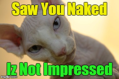 Saw You Naked Iz Not Impressed | image tagged in bad-kitty | made w/ Imgflip meme maker