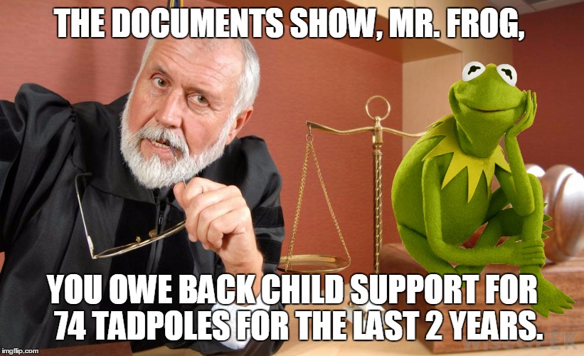 THE DOCUMENTS SHOW, MR. FROG, YOU OWE BACK CHILD SUPPORT FOR  74 TADPOLES FOR THE LAST 2 YEARS. | made w/ Imgflip meme maker