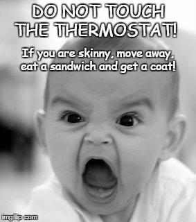 Angry Baby Meme | DO NOT TOUCH THE THERMOSTAT! If you are skinny, move away, eat a sandwich and get a coat! | image tagged in memes,angry baby | made w/ Imgflip meme maker