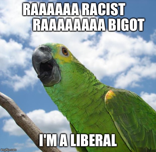 parrot1895013 | RAAAAAA RACIST           RAAAAAAAA BIGOT I'M A LIBERAL | image tagged in liberal rhetoric,trump2016,racist,bigot,politics,parrot | made w/ Imgflip meme maker