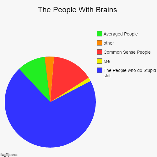 image tagged in funny,pie charts,brains | made w/ Imgflip chart maker