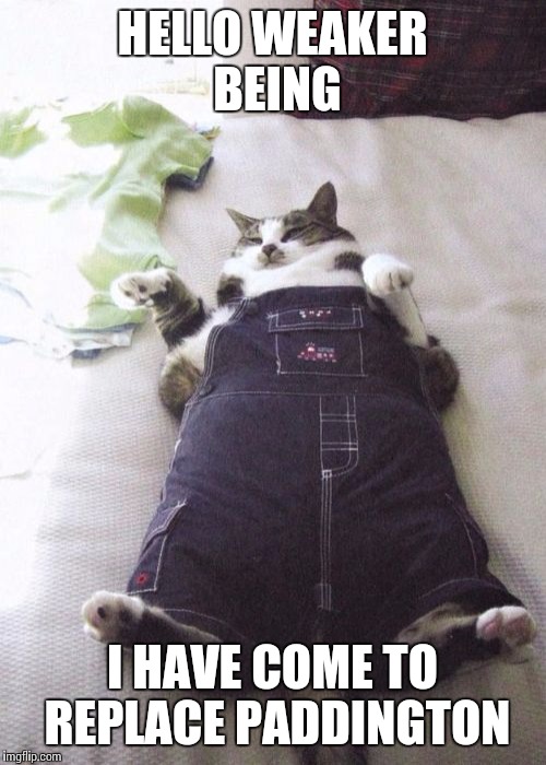 Fat Cat | HELLO WEAKER BEING I HAVE COME TO REPLACE PADDINGTON | image tagged in memes,fat cat | made w/ Imgflip meme maker