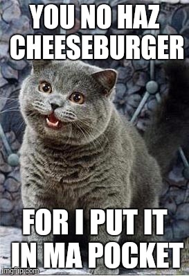 I can has cheezburger cat | YOU NO HAZ CHEESEBURGER FOR I PUT IT IN MA POCKET | image tagged in i can has cheezburger cat | made w/ Imgflip meme maker