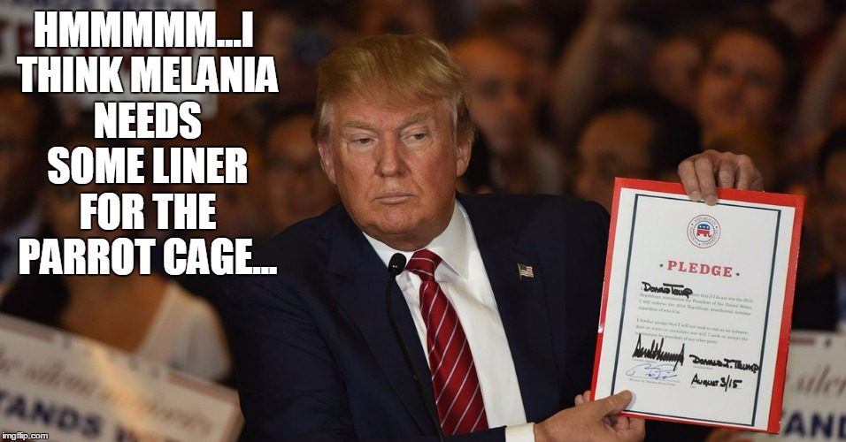 that's about what it's worth | HMMMMM...I THINK MELANIA NEEDS SOME LINER FOR THE PARROT CAGE... | image tagged in donald trump,election 2016,politics | made w/ Imgflip meme maker