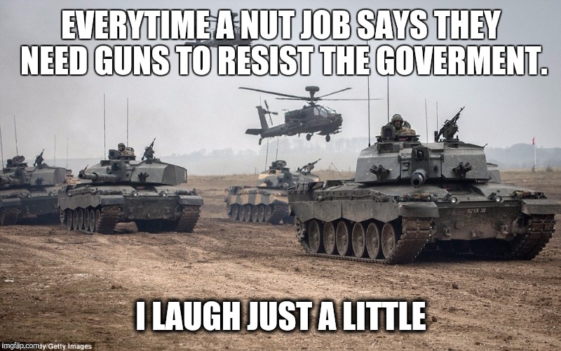 Need guns | EVERYTIME A NUT JOB SAYS THEY NEED GUNS TO RESIST THE GOVERMENT. I LAUGH JUST A LITTLE | image tagged in right wing,nut job,2nd amendment | made w/ Imgflip meme maker