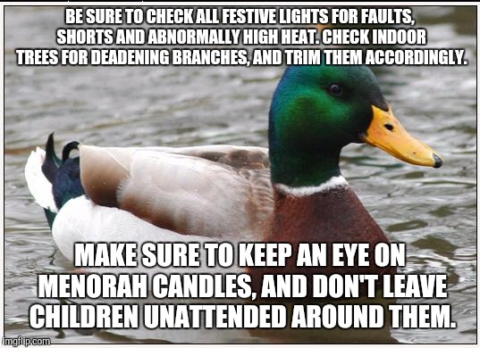 Everyone have a safe holiday, no matter what you, celebrate. | BE SURE TO CHECK ALL FESTIVE LIGHTS FOR FAULTS, SHORTS AND ABNORMALLY HIGH HEAT. CHECK INDOOR TREES FOR DEADENING BRANCHES, AND TRIM THEM AC | image tagged in memes,actual advice mallard | made w/ Imgflip meme maker