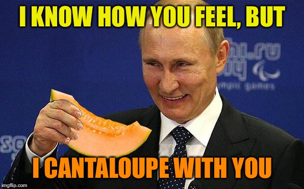 Putin Melon | I KNOW HOW YOU FEEL, BUT I CANTALOUPE WITH YOU | image tagged in putin melon | made w/ Imgflip meme maker