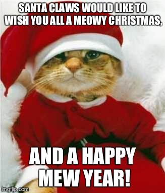 Happy Pawlidays!  | SANTA CLAWS WOULD LIKE TO WISH YOU ALL A MEOWY CHRISTMAS, AND A HAPPY MEW YEAR! | image tagged in cat | made w/ Imgflip meme maker