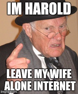 Back In My Day Meme | IM HAROLD LEAVE MY WIFE ALONE INTERNET | image tagged in memes,back in my day | made w/ Imgflip meme maker