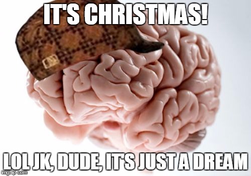 Scumbag Brain | IT'S CHRISTMAS! LOL JK, DUDE, IT'S JUST A DREAM | image tagged in memes,scumbag brain | made w/ Imgflip meme maker