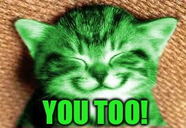 happy RayCat | YOU TOO! | image tagged in happy raycat | made w/ Imgflip meme maker