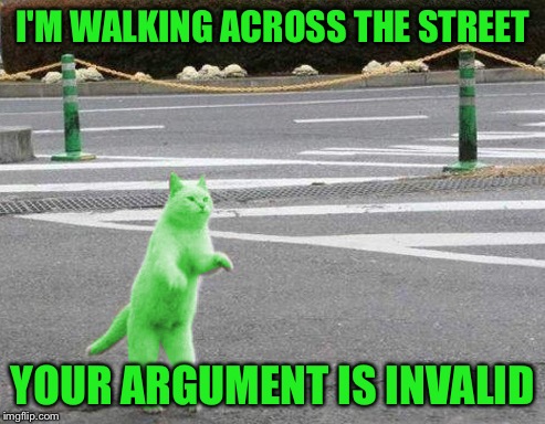 I'M WALKING ACROSS THE STREET YOUR ARGUMENT IS INVALID | image tagged in raycat walking | made w/ Imgflip meme maker