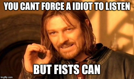 One Does Not Simply | YOU CANT FORCE A IDIOT TO LISTEN BUT FISTS CAN | image tagged in memes,one does not simply | made w/ Imgflip meme maker