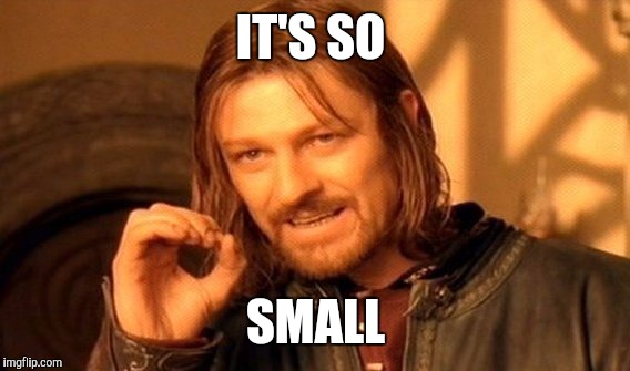 One Does Not Simply Meme | IT'S SO SMALL | image tagged in memes,one does not simply | made w/ Imgflip meme maker
