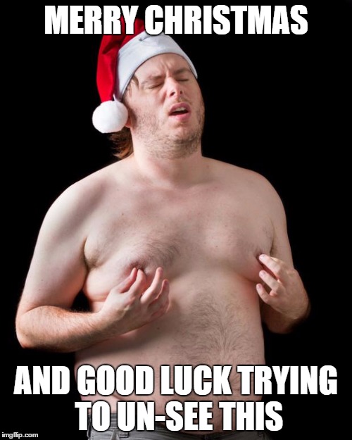 Have a Merry Christmas! | MERRY CHRISTMAS AND GOOD LUCK TRYING TO UN-SEE THIS | image tagged in sexy santa,christmas,meme,funny,lol | made w/ Imgflip meme maker