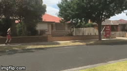 image tagged in gifs | made w/ Imgflip video-to-gif maker