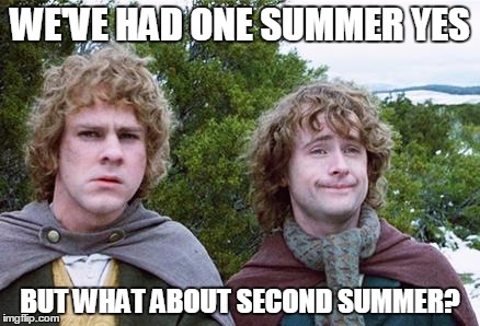 Second Breakfast | WE'VE HAD ONE SUMMER YES BUT WHAT ABOUT SECOND SUMMER? | image tagged in second breakfast,funny | made w/ Imgflip meme maker