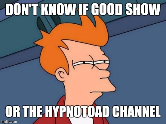 Futurama Fry Meme | DON'T KNOW IF GOOD SHOW OR THE HYPNOTOAD CHANNEL | image tagged in memes,futurama fry | made w/ Imgflip meme maker