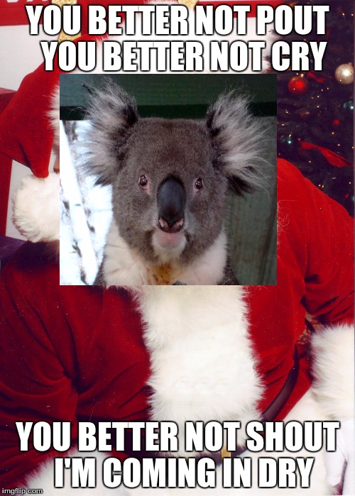 Merry christmas! | YOU BETTER NOT POUT YOU BETTER NOT CRY YOU BETTER NOT SHOUT I'M COMING IN DRY | image tagged in santa,christmas,koala | made w/ Imgflip meme maker