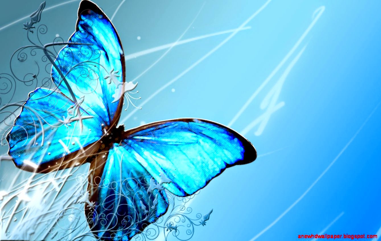 blue butterfly Blank Meme Template