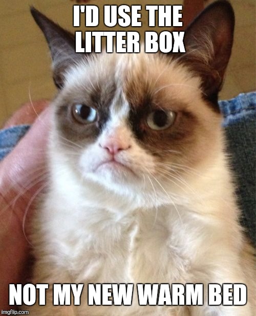Grumpy Cat Meme | I'D USE THE LITTER BOX NOT MY NEW WARM BED | image tagged in memes,grumpy cat | made w/ Imgflip meme maker