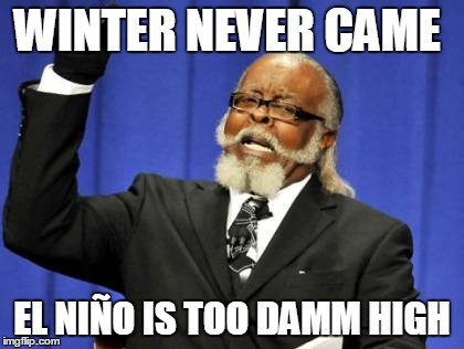 Too Damn High Meme | WINTER NEVER CAME EL NIÑO IS TOO DAMM HIGH | image tagged in memes,too damn high | made w/ Imgflip meme maker