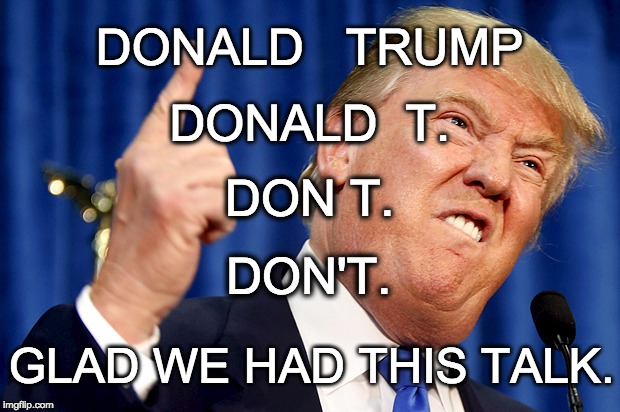 Donald Trump | DONALD   TRUMP GLAD WE HAD THIS TALK. DONALD  T. DON T. DON'T. | image tagged in donald trump | made w/ Imgflip meme maker