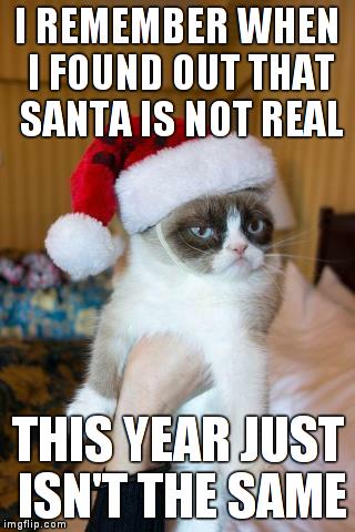 When I found out that Santa is not real | I REMEMBER WHEN I FOUND OUT THAT SANTA IS NOT REAL THIS YEAR JUST ISN'T THE SAME | image tagged in memes,grumpy cat christmas,grumpy cat,santa | made w/ Imgflip meme maker