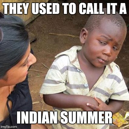 Third World Skeptical Kid Meme | THEY USED TO CALL IT A INDIAN SUMMER | image tagged in memes,third world skeptical kid | made w/ Imgflip meme maker
