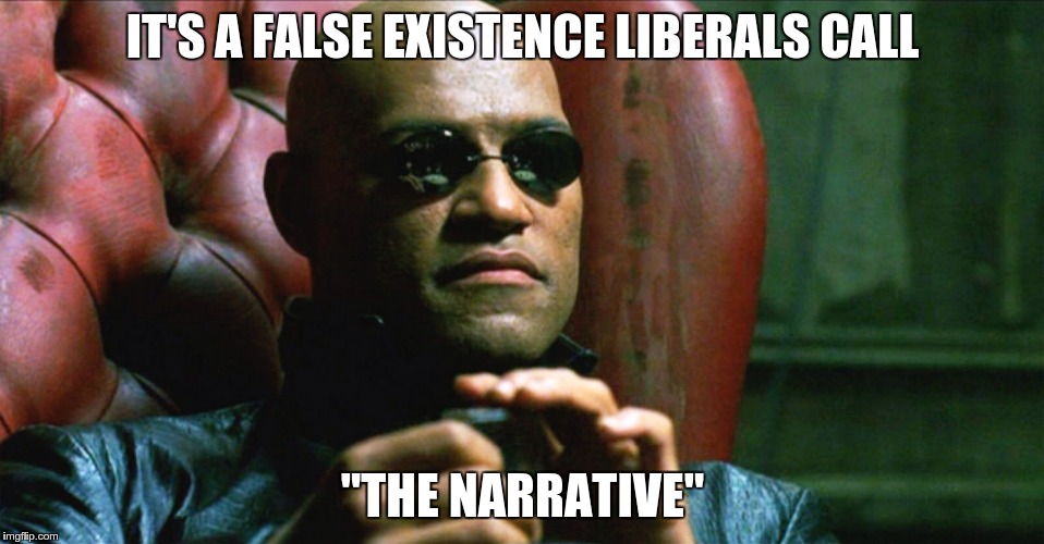 IT'S A FALSE EXISTENCE LIBERALS CALL "THE NARRATIVE" | image tagged in matrix narrative | made w/ Imgflip meme maker