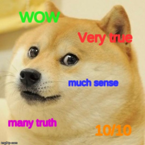 Doge Meme | WOW Very true much sense many truth 10/10 | image tagged in memes,doge | made w/ Imgflip meme maker