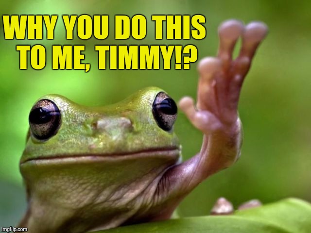 WHY YOU DO THIS TO ME, TIMMY!? | image tagged in why,funny,why me,why you do this | made w/ Imgflip meme maker