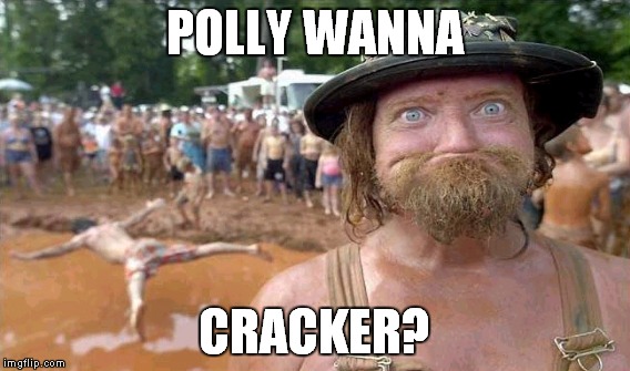 POLLY WANNA CRACKER? | made w/ Imgflip meme maker