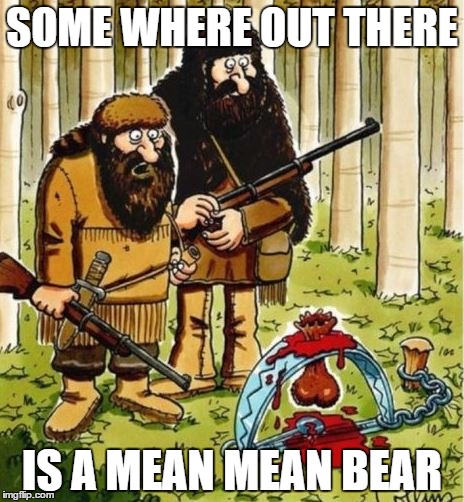 SOME WHERE OUT THERE IS A MEAN MEAN BEAR | image tagged in bears | made w/ Imgflip meme maker