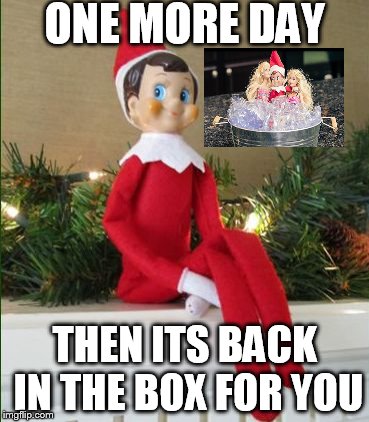 Elf on a Shelf | ONE MORE DAY THEN ITS BACK IN THE BOX FOR YOU | image tagged in elf on a shelf | made w/ Imgflip meme maker