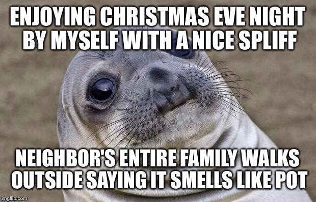 Awkward Moment Sealion Meme | ENJOYING CHRISTMAS EVE NIGHT BY MYSELF WITH A NICE SPLIFF NEIGHBOR'S ENTIRE FAMILY WALKS OUTSIDE SAYING IT SMELLS LIKE POT | image tagged in memes,awkward moment sealion,AdviceAnimals | made w/ Imgflip meme maker