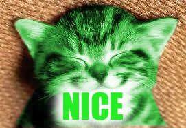 happy RayCat | NICE | image tagged in happy raycat | made w/ Imgflip meme maker