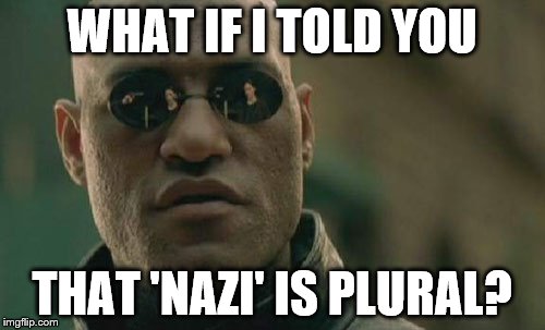 Matrix Morpheus Meme | WHAT IF I TOLD YOU THAT 'NAZI' IS PLURAL? | image tagged in memes,matrix morpheus | made w/ Imgflip meme maker