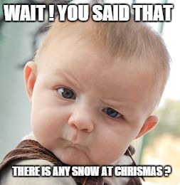 Skeptical Baby Meme | WAIT ! YOU SAID THAT THERE IS ANY SNOW AT CHRISMAS ? | image tagged in memes,skeptical baby | made w/ Imgflip meme maker