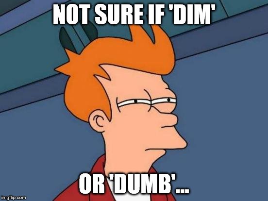 Futurama Fry Meme | NOT SURE IF 'DIM' OR 'DUMB'... | image tagged in memes,futurama fry | made w/ Imgflip meme maker