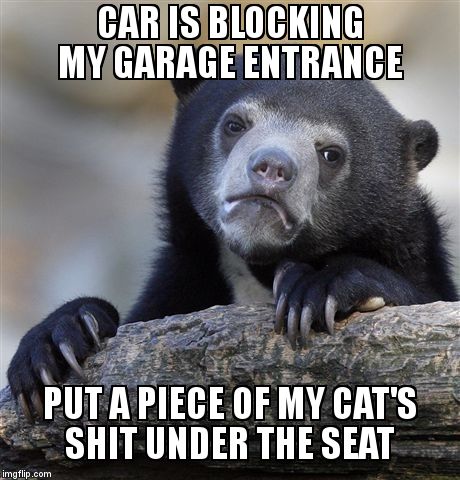 Confession Bear Meme | CAR IS BLOCKING MY GARAGE ENTRANCE  PUT A PIECE OF MY CAT'S SHIT UNDER THE SEAT | image tagged in memes,confession bear,AdviceAnimals | made w/ Imgflip meme maker