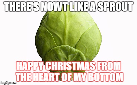 christmas by rl369 | THERE'S NOWT LIKE A SPROUT HAPPY CHRISTMAS FROM THE HEART OF MY BOTTOM | image tagged in christmas,sprout,wind,isis,jesus,santa | made w/ Imgflip meme maker