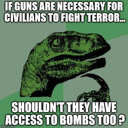 Philosoraptor Meme | IF GUNS ARE NECESSARY FOR CIVILIANS TO FIGHT TERROR... SHOULDN'T THEY HAVE ACCESS TO BOMBS TOO ? | image tagged in memes,philosoraptor | made w/ Imgflip meme maker